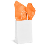 Animated Mini Gift Bag 200gsm
