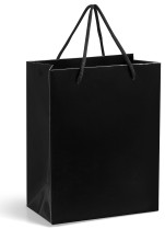 Dazzle Mini Gift Bag