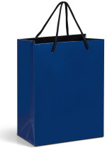 Dazzle Mini Gift Bag