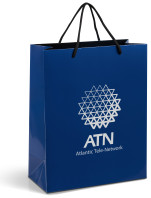 Dazzle Midi Gift Bag