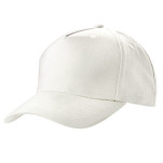 5 Panel Cap