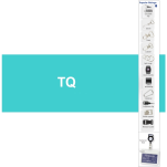 Unbranded petersham + Swivel