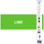 Unbranded petersham + Lobster