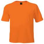 145g Crew Neck T-Shirt Kiddies