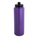 Ignite Water Bottle with 1 colour