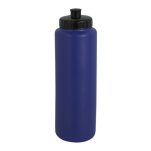 Ignite Water Bottle with 1 colour