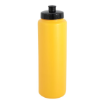 Ignite Water Bottle with 1 colour