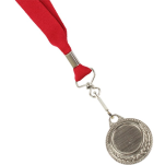 Unbranded Ribbon with Silver Medal