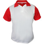 Mens Rico crew neck Tshirt with 1 col