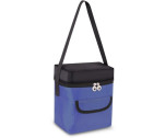Altitude Cool Dude 9-Can Cooler