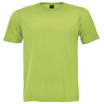 160g Barron Crew Neck T-Shirt