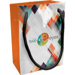 Ariel Gloss Gift Bag with FC on 1 side 