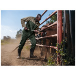 Site Premium Two-Tone Polycotton Jacket