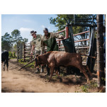 Site Premium Two-Tone Polycotton Jacket