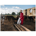 Trade Polycotton Conti Suit