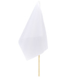 Champion Small Hand Flag 300mm x 200mm