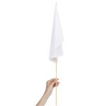 Champion Medium Hand Flag 450mm x 300mm