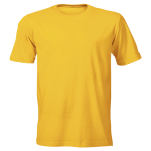 160g Wise-Buy 100% Cotton T-Shirt Promo Fit