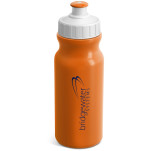Altitude Carnival Plastic Water Bottle - 300ml