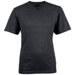 180g Barron V-Neck T-Shirt