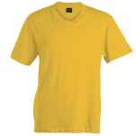 180g Barron V-Neck T-Shirt