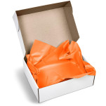 Altitude Artful Tissue Paper - Pack of 10 Sheets