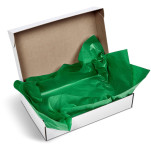 Altitude Artful Tissue Paper - Pack of 10 Sheets