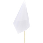 Champion Small Hand Flag 300mm x 200mm