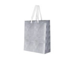 Gift Bag - 27cm