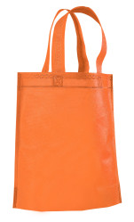 Altitude Giveaway Non-Woven Shopper