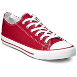 Unisex Trendi Canvas Sneaker