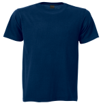 180g Barron Crew Neck T-Shirt