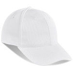 Ace Fitted Cap - 6 Panel