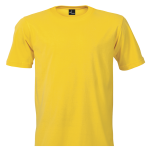 Promo Tee 145g