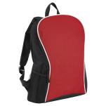 Curve and Arch Design Backpack
