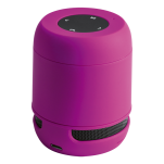 Braiss Bluetooth Speaker