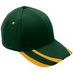 6 Panel Supporter Cap