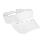 Arena Visor