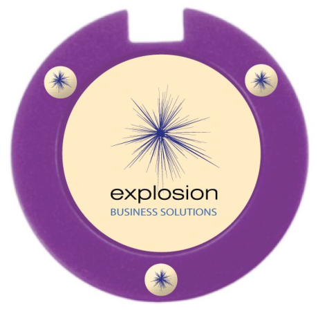 Travelator License Disk Holder with Sticker