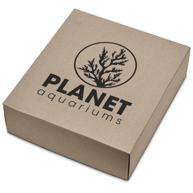 Simmons Kraft Gift Set