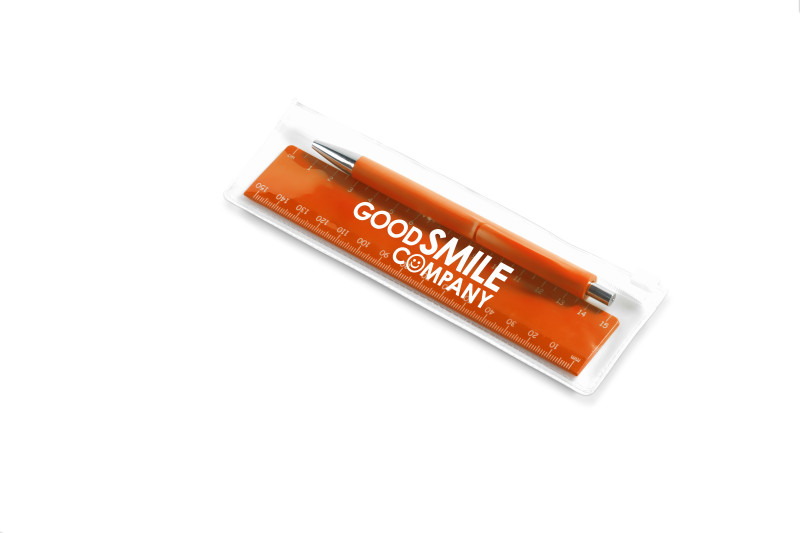 Mini Visibility Pouch (Excludes Contents)