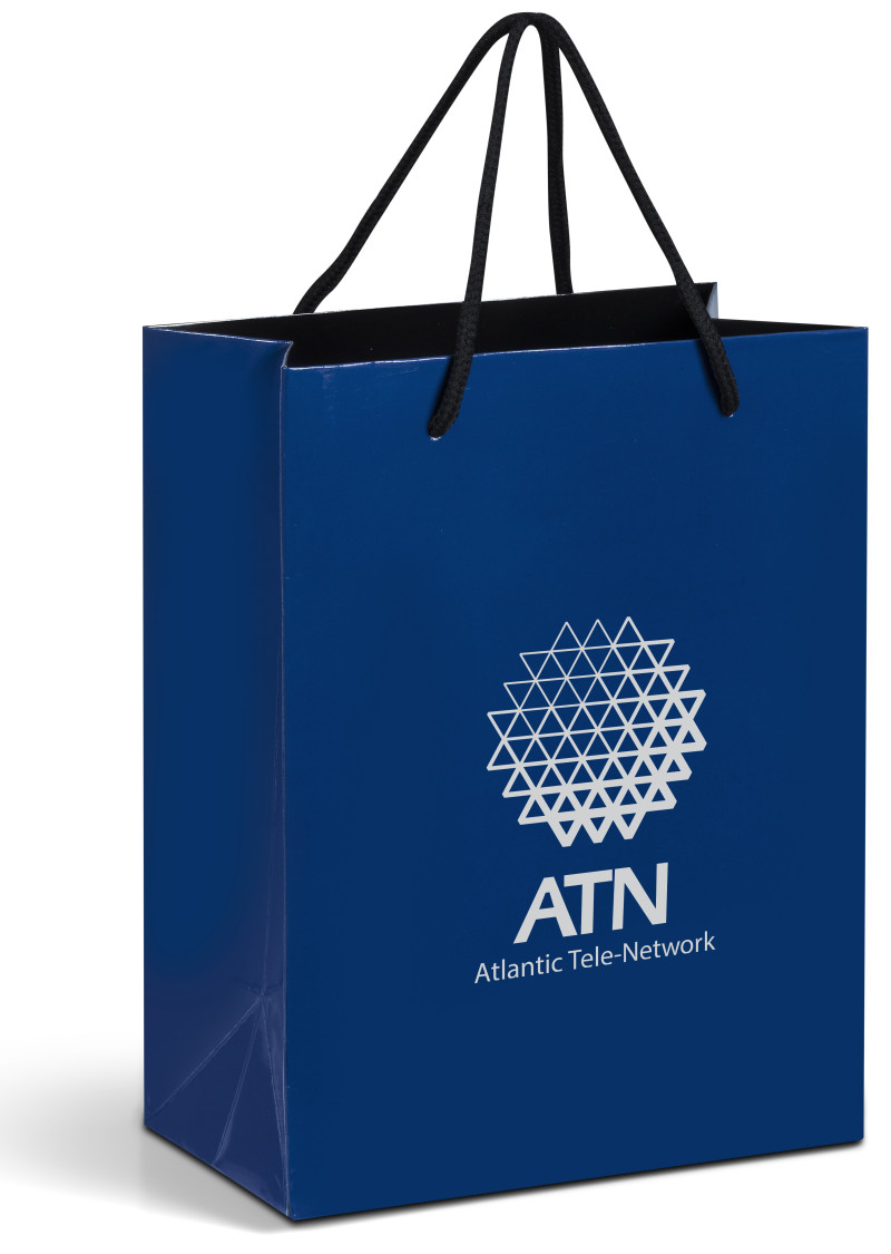 Dazzle Mini Gift Bag