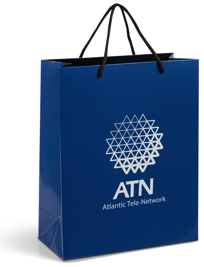 Dazzle Midi Gift Bag