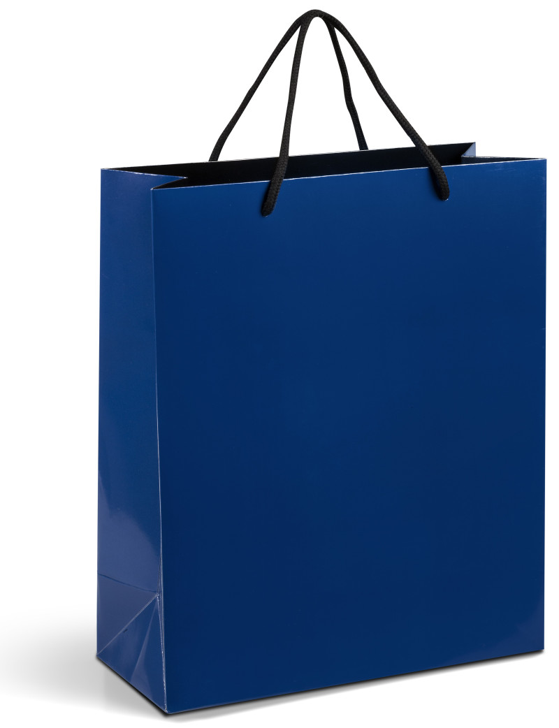 Dazzle Maxi Gift Bag