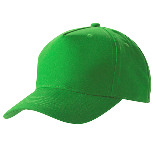 5 Panel Cap
