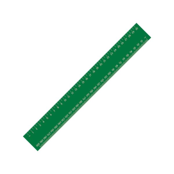 30cm Flexi Ruler with 1 colour print