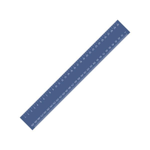 30cm Flexi Ruler with 1 colour print