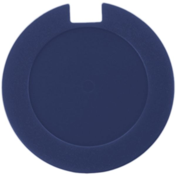 License Disk Holder with sticker