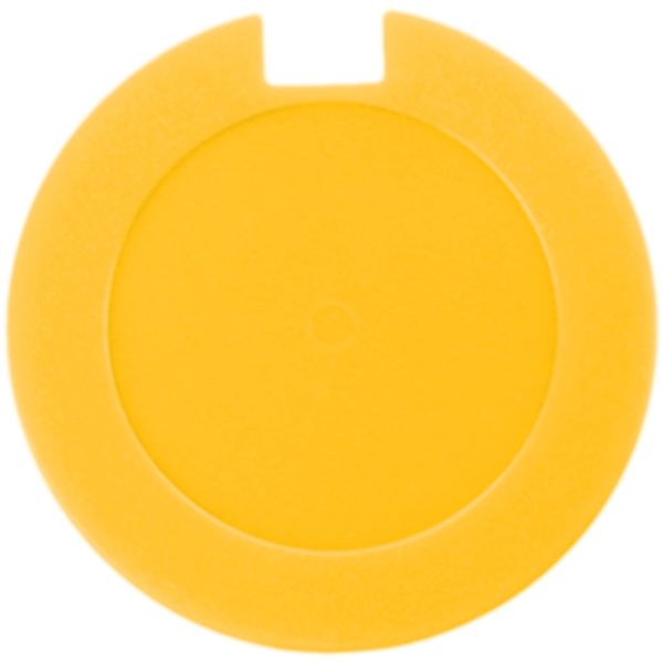 License Disk Holder with sticker