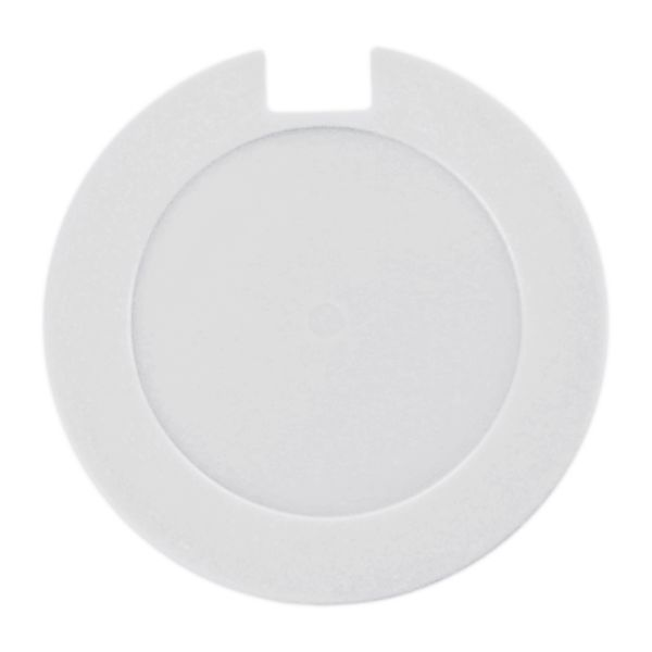 License Disk Holder with sticker